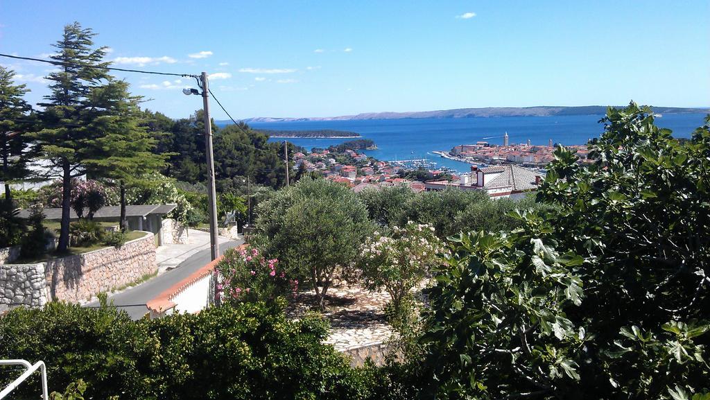 Panoramic View Studio